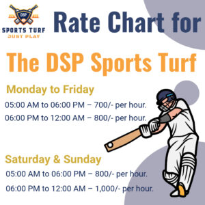 DSP Sports Turf